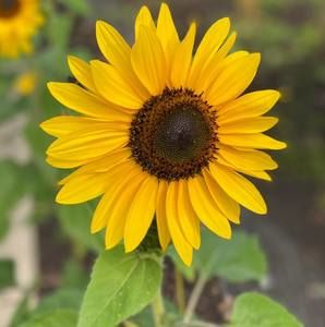 Meet your Posher, Dana